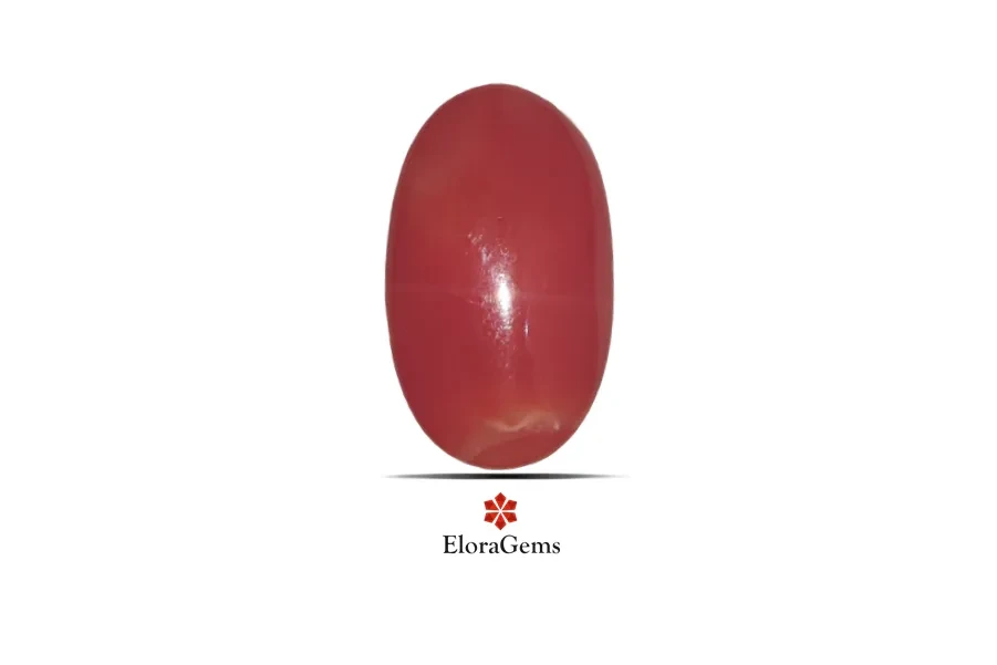 Red Coral (Pavalam) 18x11 MM 9.63 carats