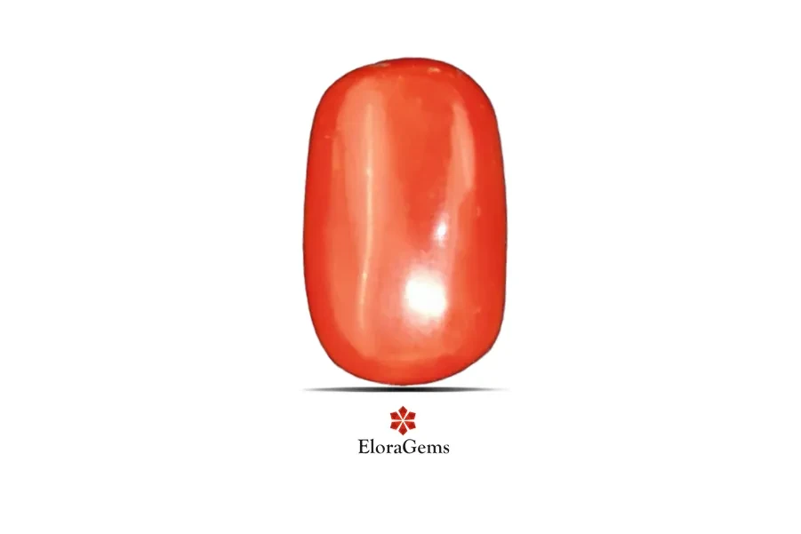 Red Coral (Pavalam) 15x10 MM 6.66 carats