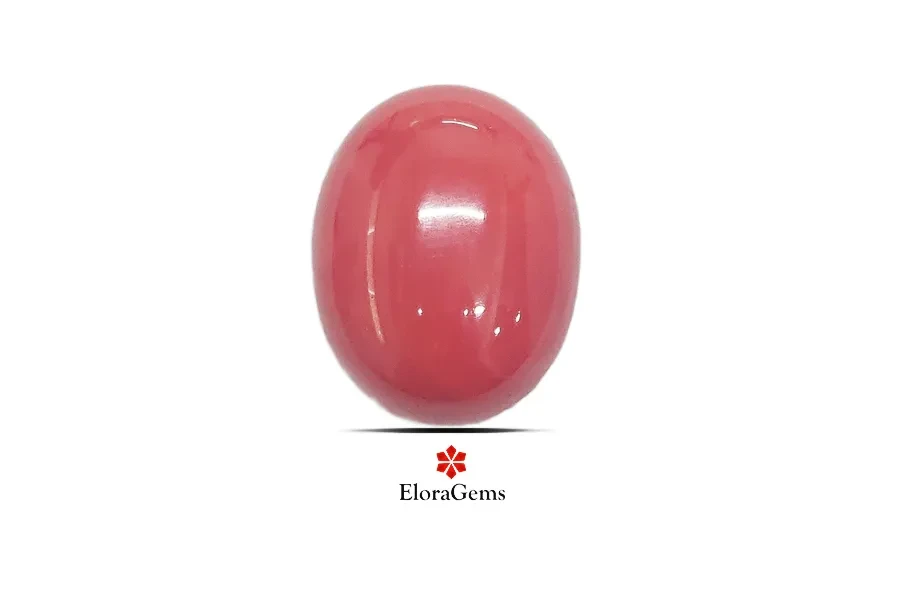 Red Coral (Pavalam) 20x16 MM 22.4 carats