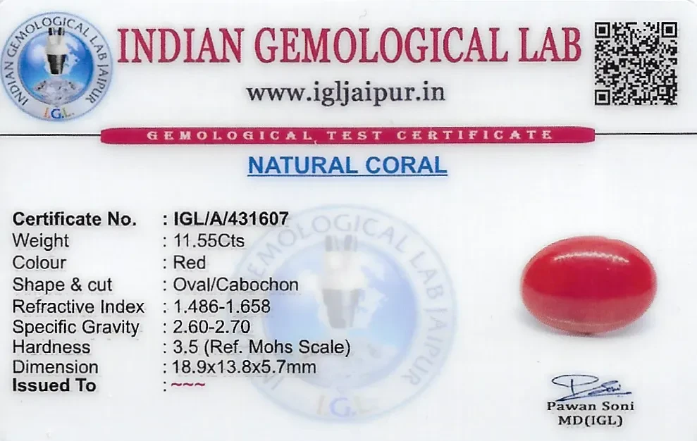 Red Coral (Pavalam) 19x14 MM 11.55 carats