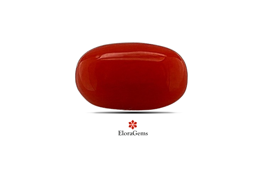 Red Coral 10x6 MM 2.38 carats
