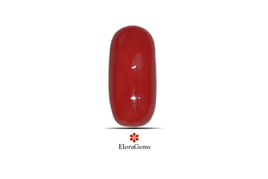 Red Coral (Pavalam) 12x6 MM 2.83 carats
