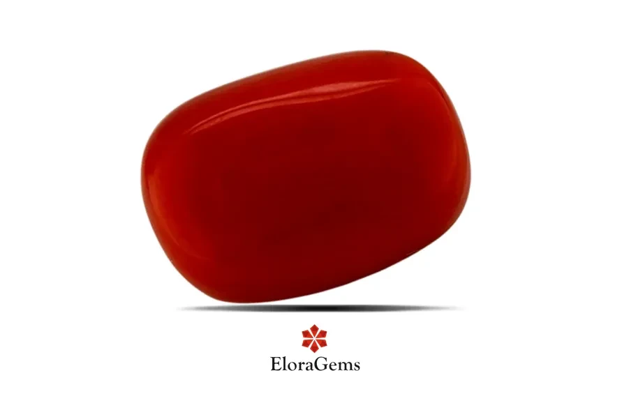 Red Coral (Pavalam) 14x9 MM 7.28 carats