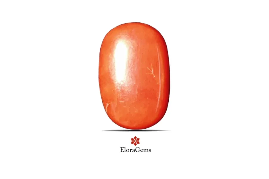 Red Coral (Pavalam) 15x10 MM 7.13 carats