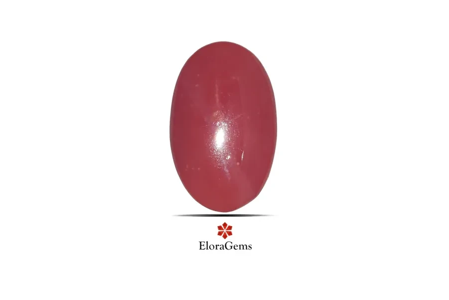 Red Coral (Pavalam) 21x13 MM 10.11 carats