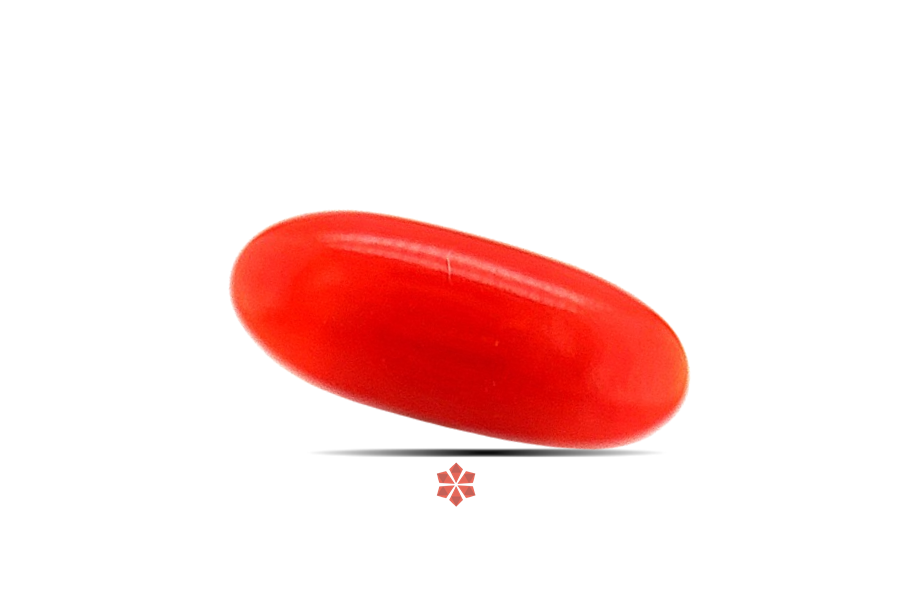 Red Coral 16x7 MM 4.53 carats