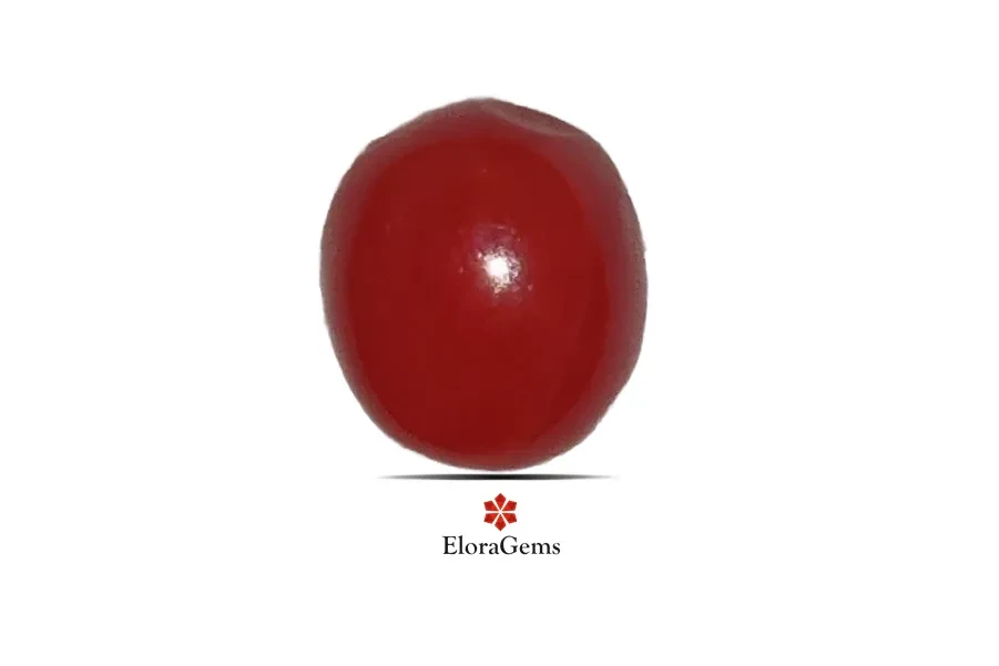 Red Coral (Pavalam) 7x6 MM 1.43 carats