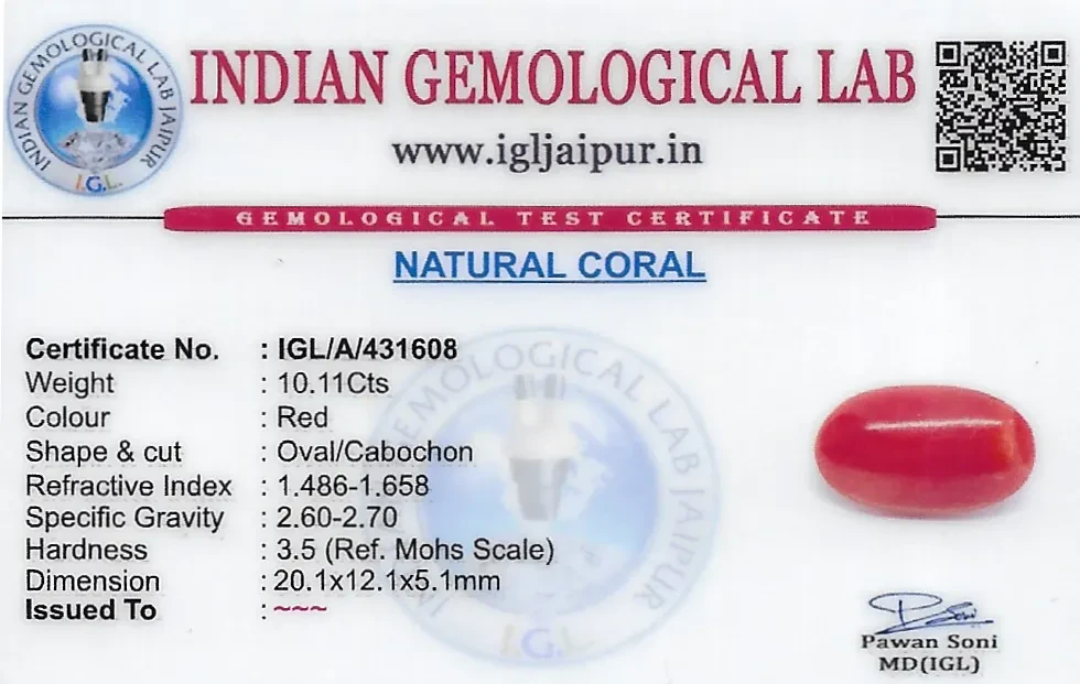 Red Coral (Pavalam) 20x12 MM 10.11 carats