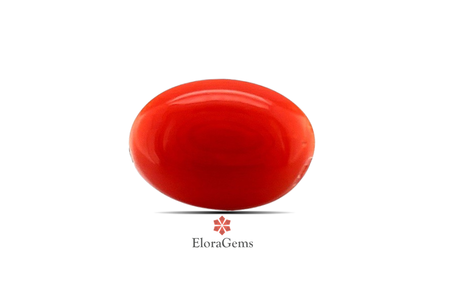 Red Coral 11x8 MM 2.23 carats