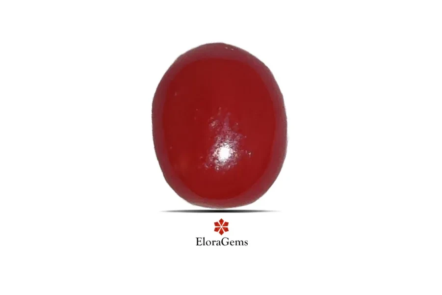 Red Coral (Pavalam) 7x6 MM 1.36 carats
