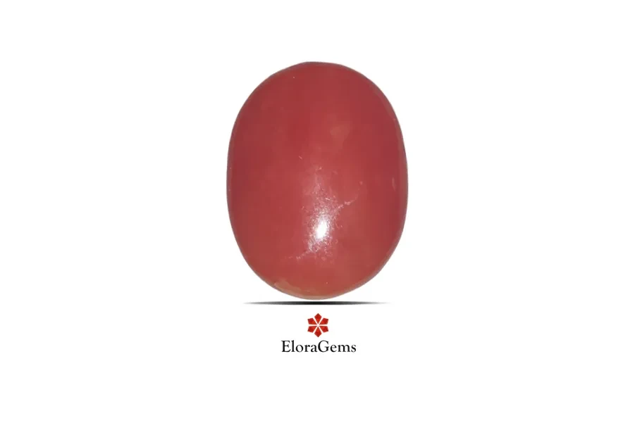 Red Coral (Pavalam) 19x15 MM 12.15 carats