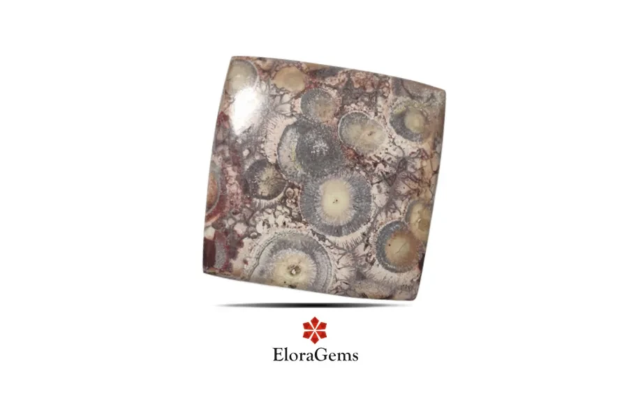 Mushroom Rhyolite Jasper 44x44 MM 89.9 carats