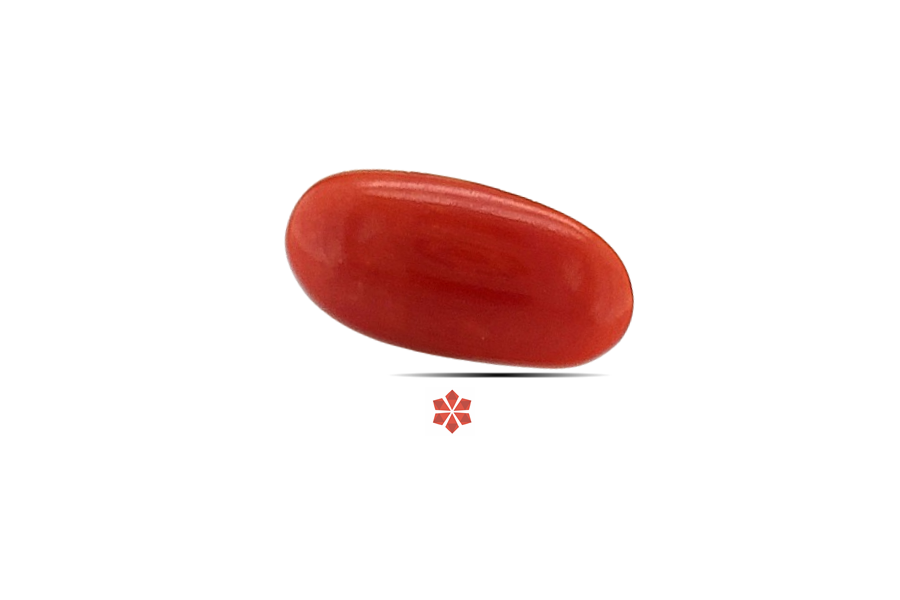 Red Coral 12x6 MM 1.3 carats