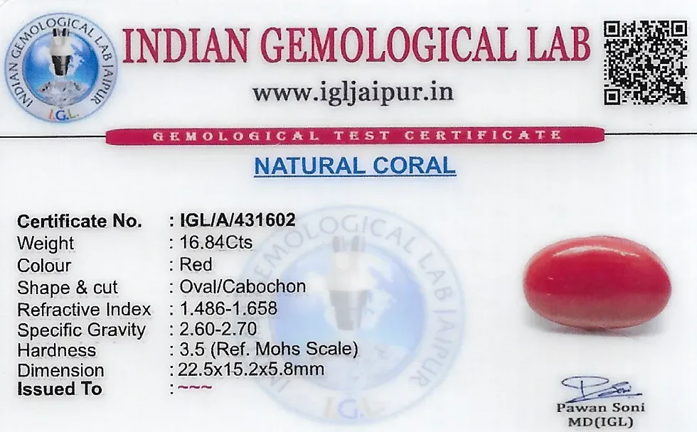 Red Coral (Pavalam) 23x15 MM 16.84 carats