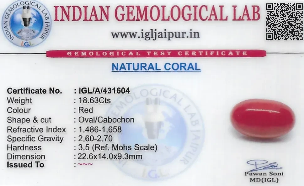 Red Coral (Pavalam) 23x14 MM 18.63 carats