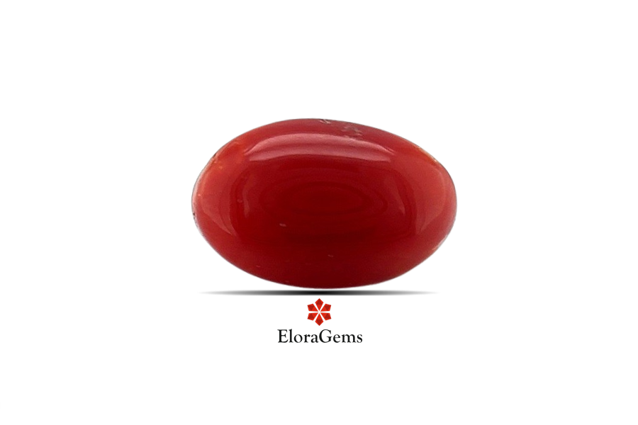 Red Coral 11x7 MM 2.4 carats