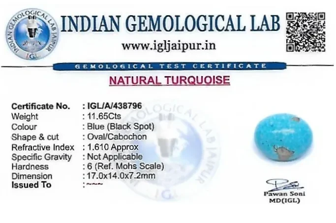 Turquoise 17x14 MM 11.65 carats