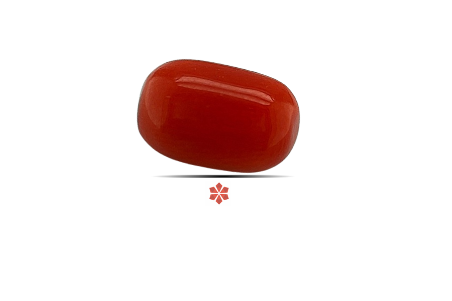 Red Coral 11x7 MM 3.02 carats
