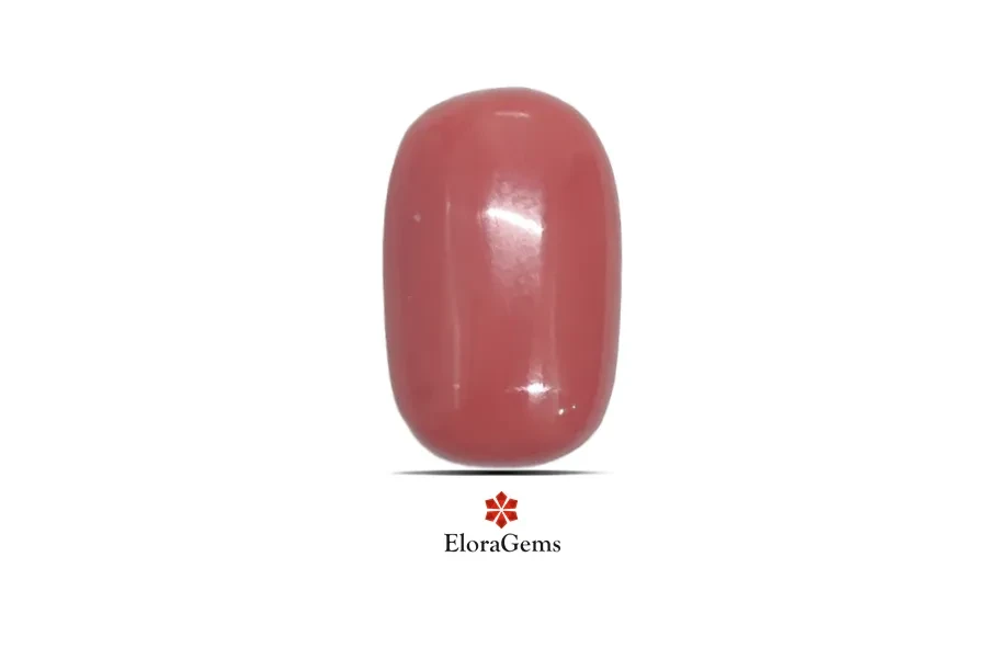 Red Coral (Pavalam) 17x11 MM 6.83 carats
