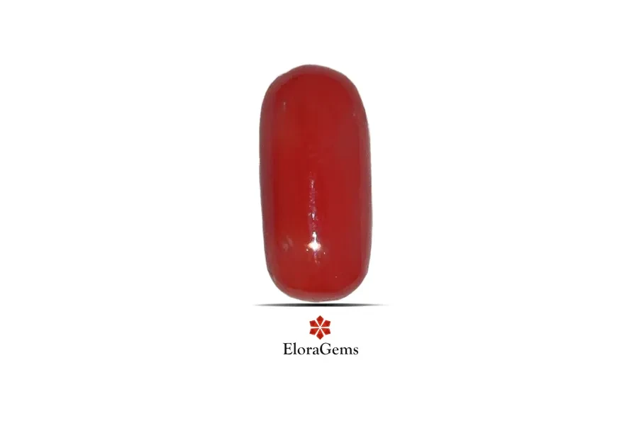 Red Coral (Pavalam) 12x6 MM 3 carats