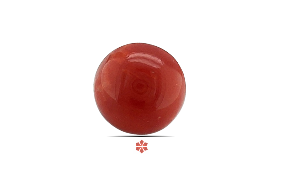 Red Coral 10x10 MM 3.78 carats