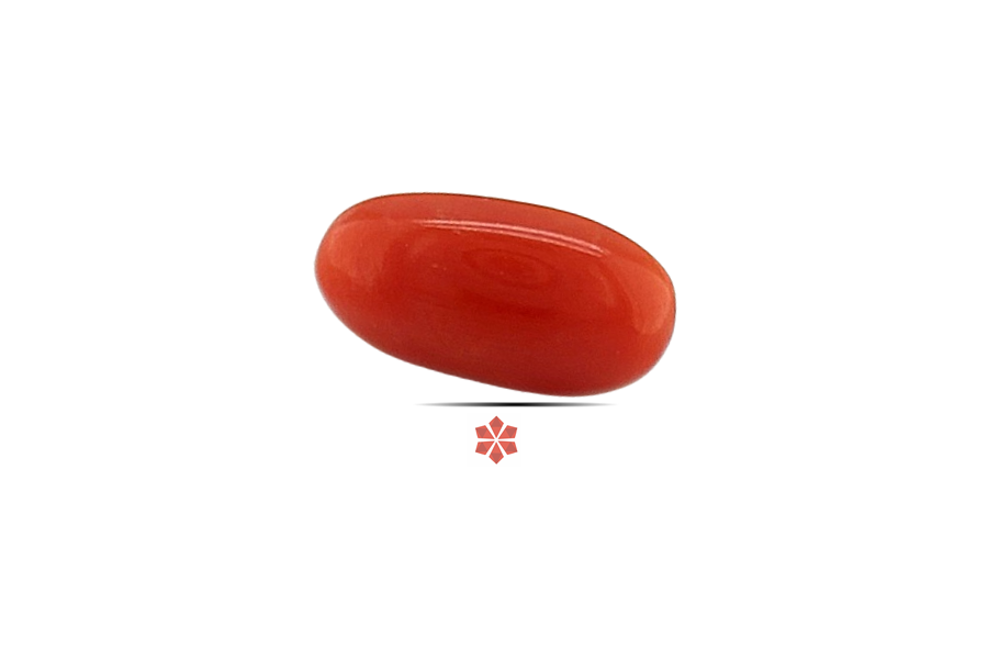 Red Coral 11x6 MM 1.63 carats