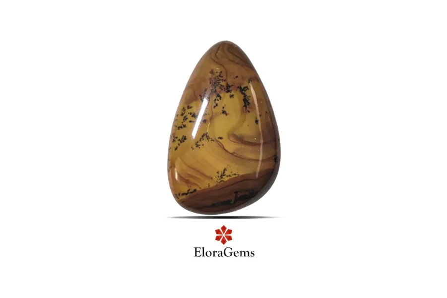 Biggs Jasper 29x19 MM 25.51 carats