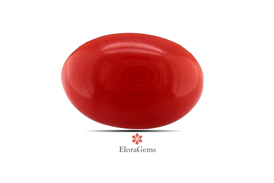 Red Coral (Pavalam) 16x12 MM 6.62 carats