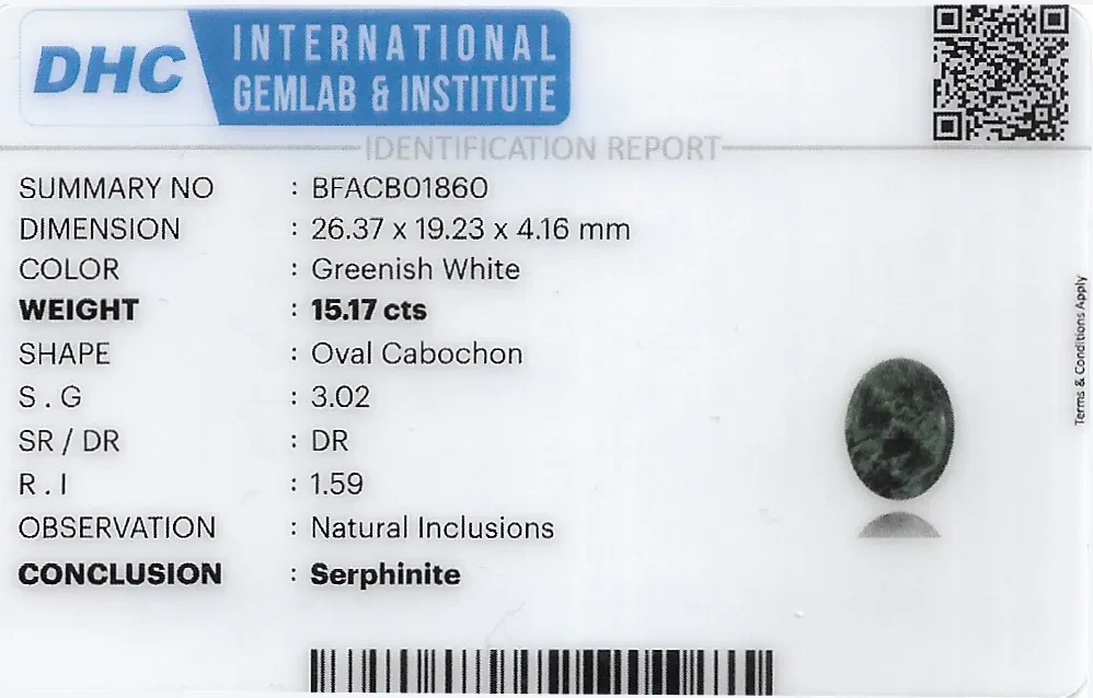 Serphinite 26x19 MM 15.17 carats
