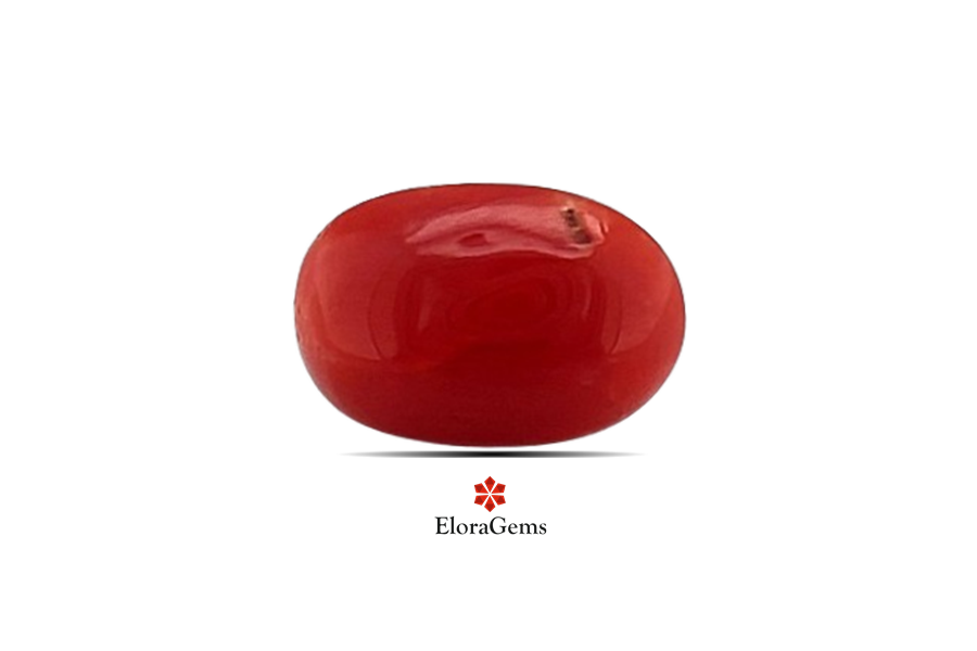 Red Coral 8x6 MM 1.35 carats