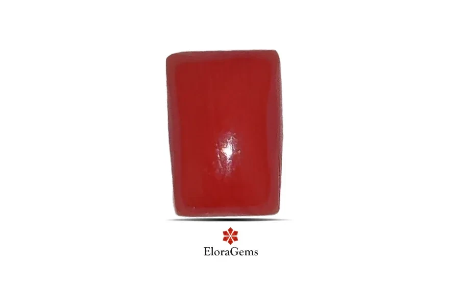 Red Coral (Pavalam) 7x5 MM 1.2 carats