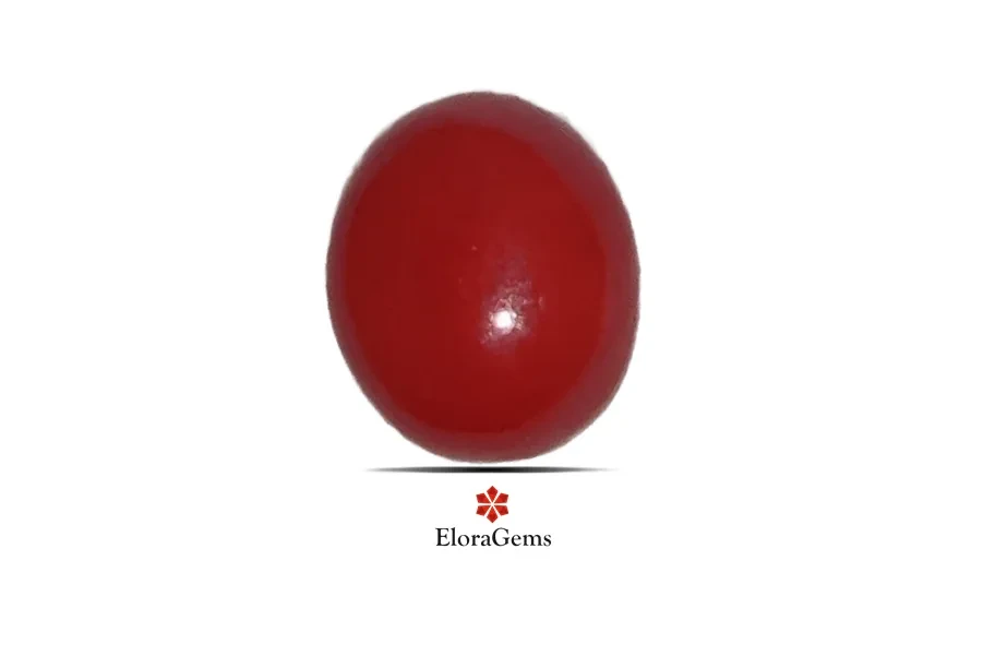 Red Coral (Pavalam) 5x6 MM 1.6 carats