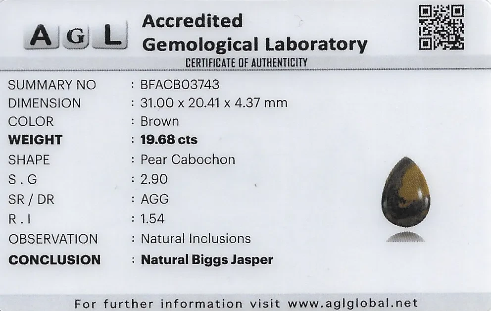 Biggs Jasper 31x20 MM 19.68 carats