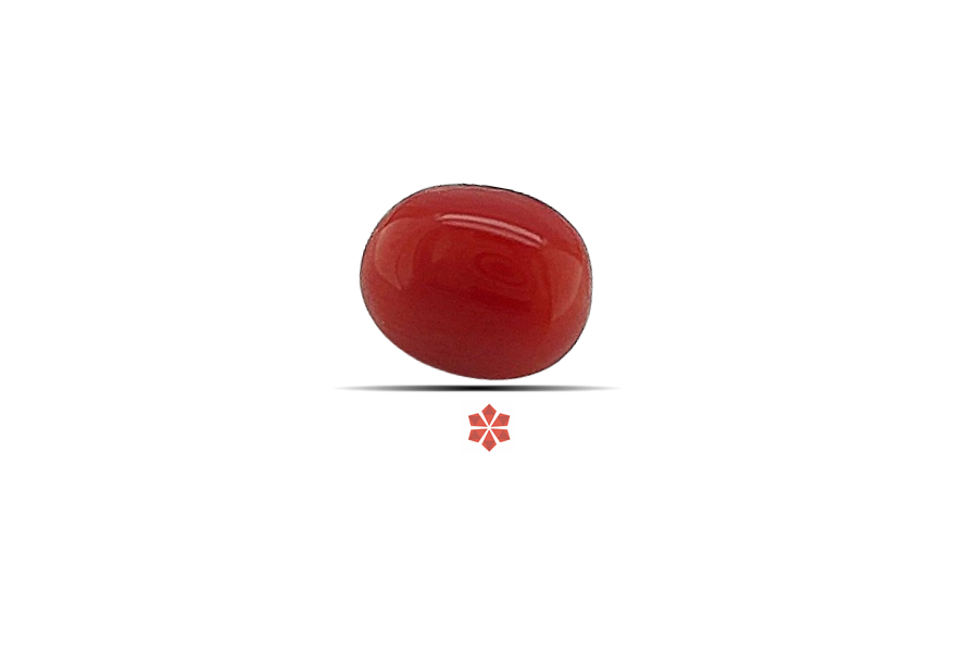Red Coral 7x6 MM 1.3 carats