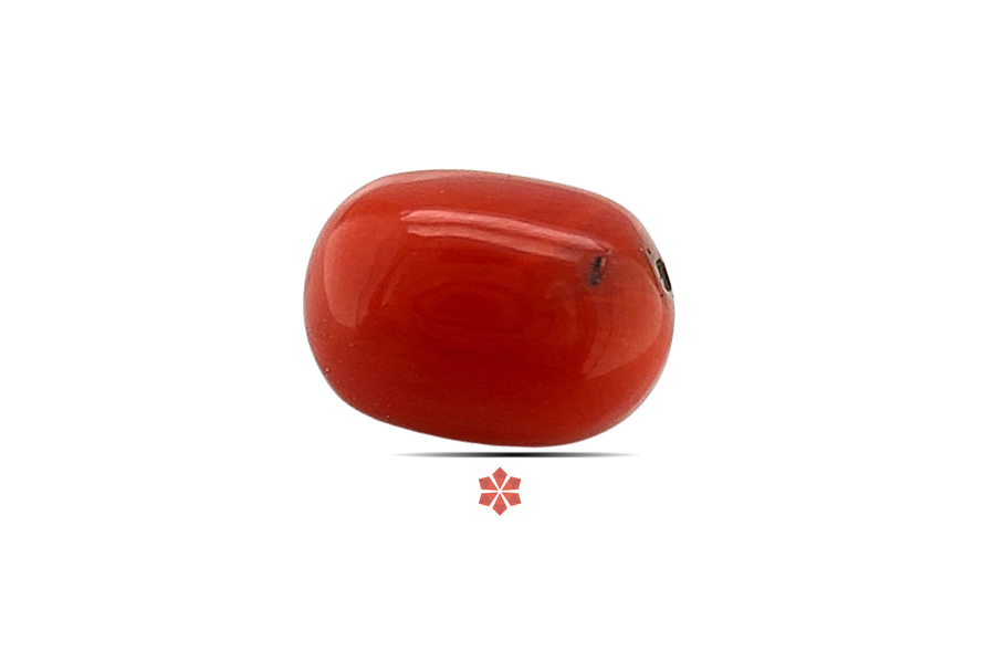 Red Coral 11x8 MM 3.91 carats