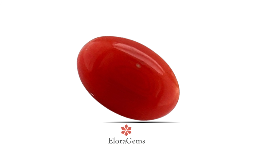 Red Coral 10x7 MM 2.38 carats