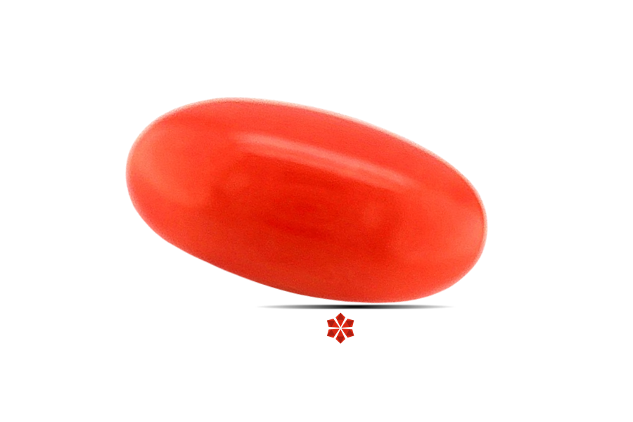 Red Coral 20x10 MM 8.28 carats