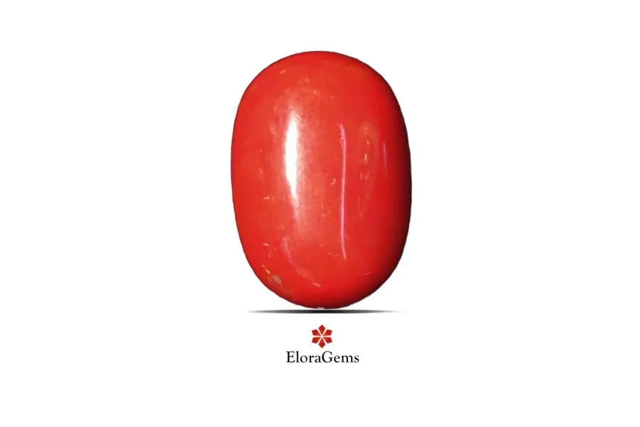 Red Coral (Pavalam) 17x12 MM 14.06 carats