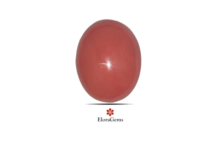 Red Coral (Pavalam) 17x13 MM 8.9 carats