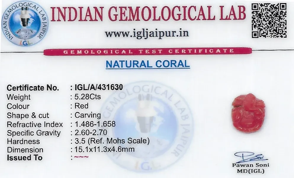 Coral Carving Gem Stones 15x11 MM 5.28 carats