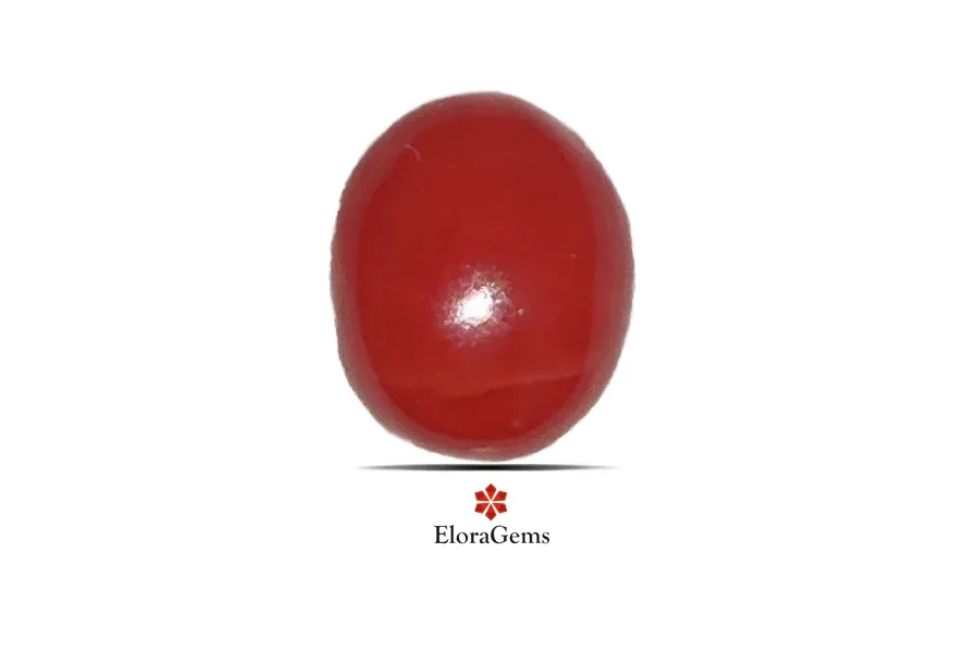Red Coral (Pavalam) 7x6 MM 1.36 carats