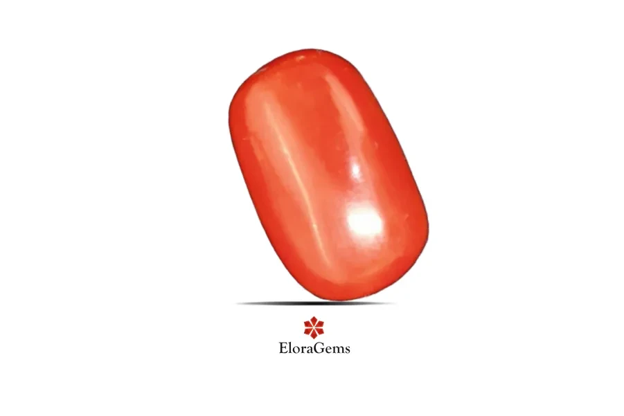 Red Coral (Pavalam) 15x10 MM 6.66 carats