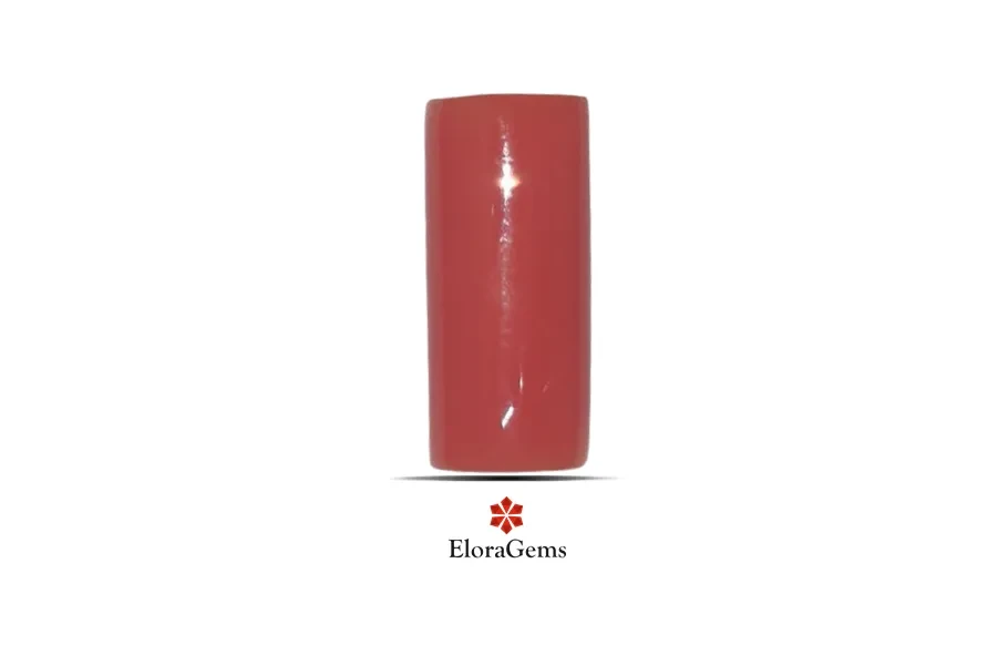 Red Coral (Pavalam) 14x6 MM 3.48 carats