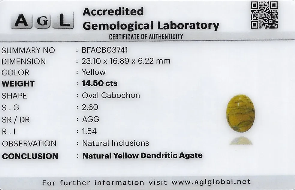 Yellow Dendritic Agate 23x17 MM 14.5 carats