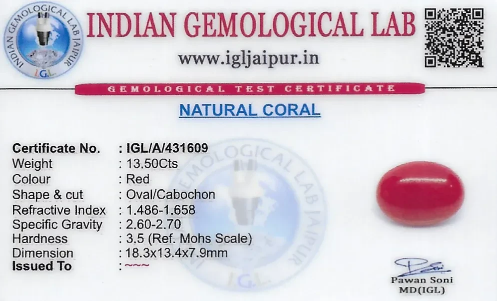 Red Coral (Pavalam) 18x13 MM 13.5 carats