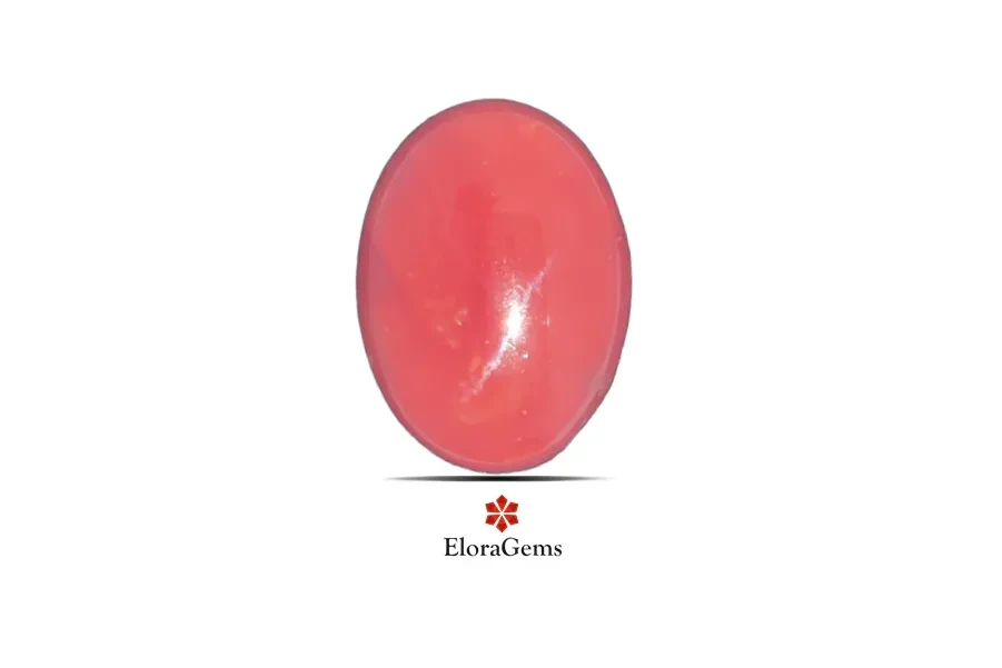 Red Coral (Pavalam) 20x15 MM 15.52 carats