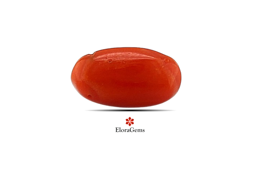 Red Coral 10x6 MM 1.37 carats