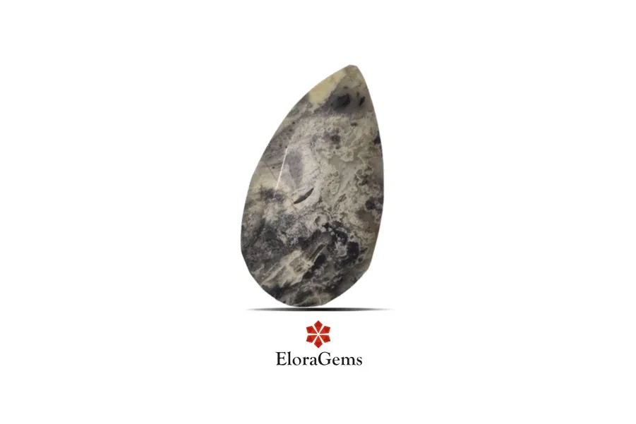 Black Cola Jasper 29x16 MM 16.52 carats