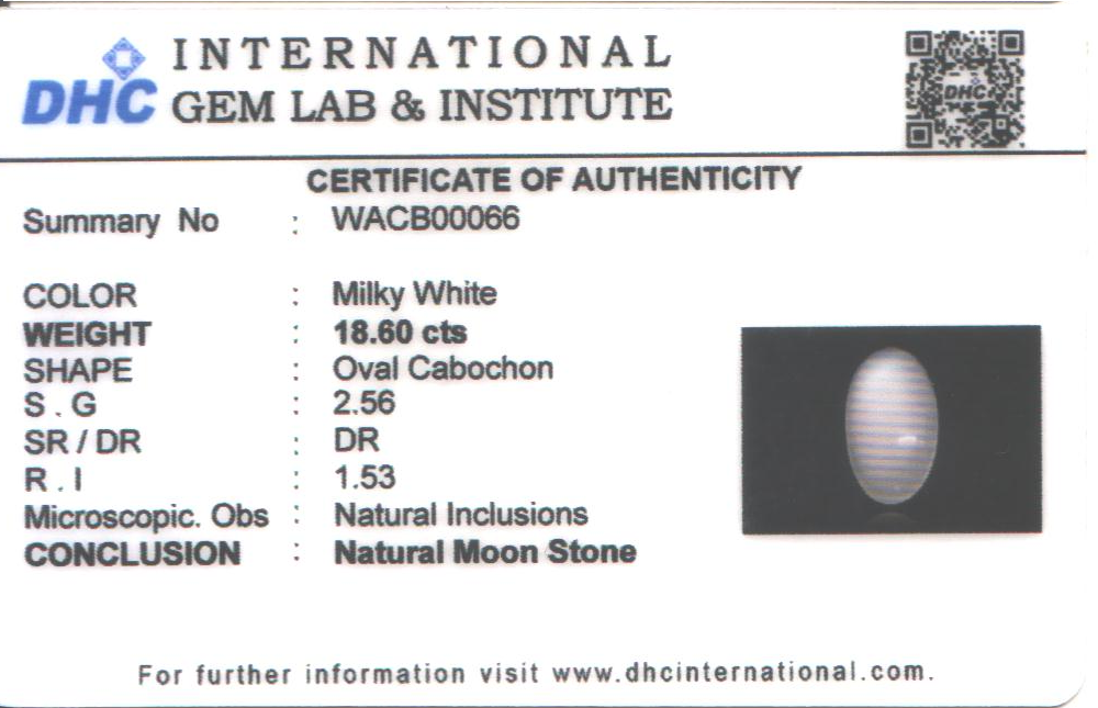 Moon Stone 28x17 MM 18.6 carats