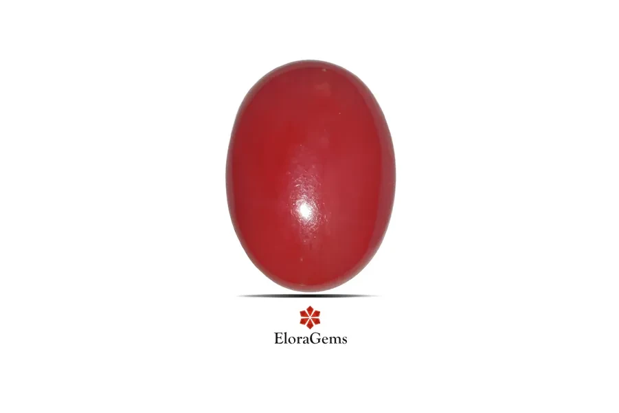 Red Coral (Pavalam) 18x13 MM 13.5 carats
